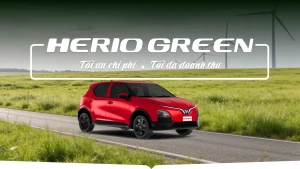 HERIO GREEN